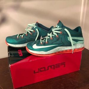 Lebron James Nike Basketball shoes